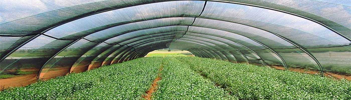 Agro Shade Nets Factory | Shade Cloth & Shade Cover for Agriculture.